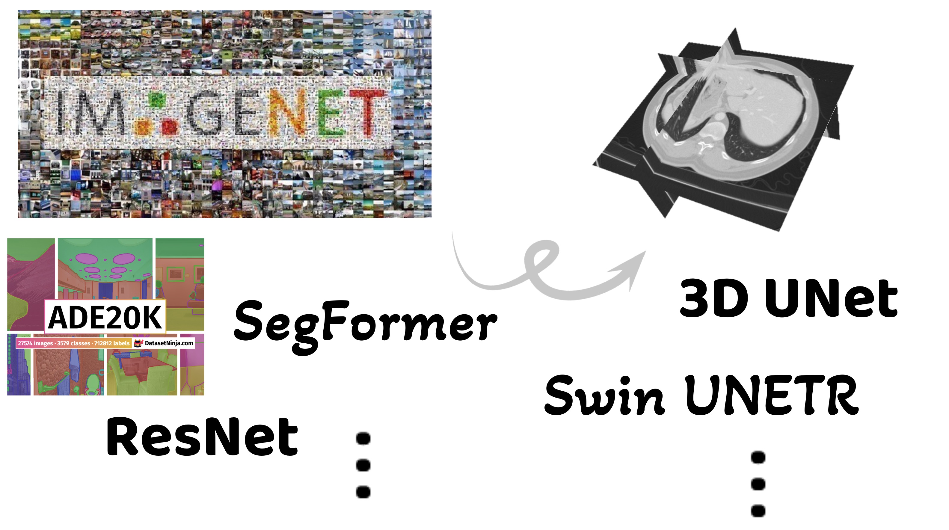 Semi-Supervised 3D Medical Segmentation from 2D Natural Images Pretrained Model
