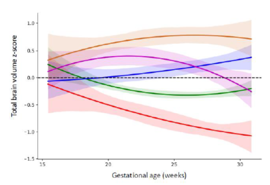 Impaired fetal brain growth and neurodevelopmental deficits at 2 years: deep phenotyping of maternal fetal pathophysiology